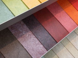 Farben-vielheit.jpg